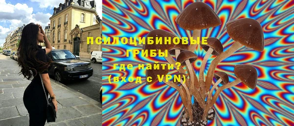 меф Алексин