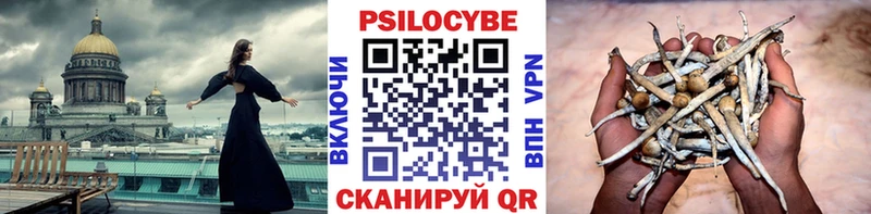 наркошоп  Камызяк  дарк нет как зайти  Псилоцибиновые грибы Magic Shrooms 